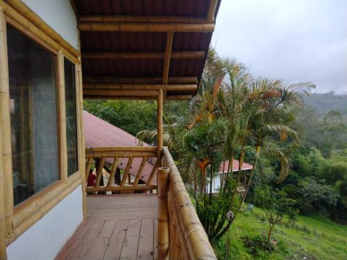 El Refugio Del Oso De Anteojos
