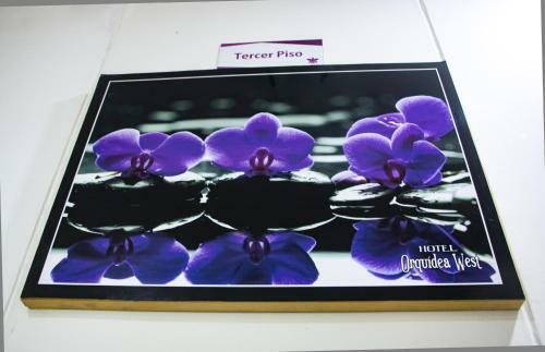 Hotel Orquidea West