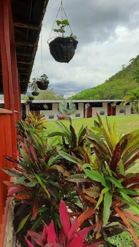 Finca San Antonio
