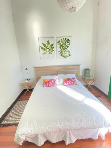Hostal Patiperra Hostel