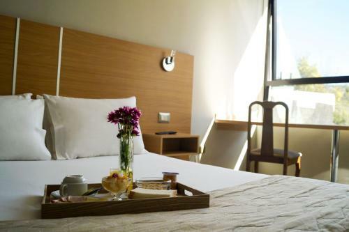 Ohiggins Park Hotel