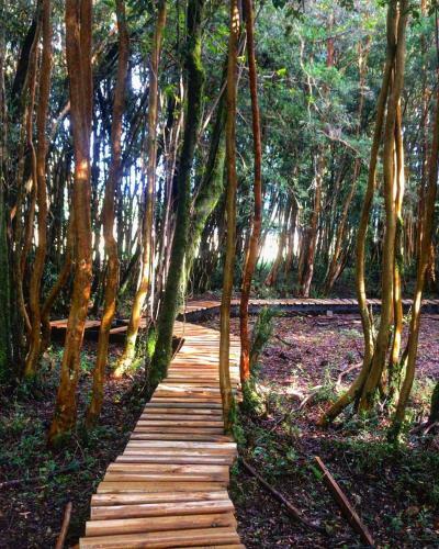 Lodge Caba�as Almalik