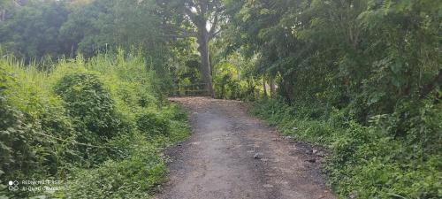 Agroturismo Caba�a Villa Jard�n