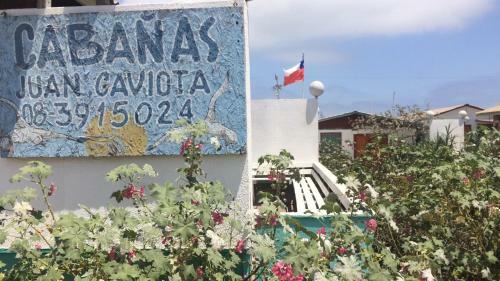 Lodge Caba�as Juan Gaviota