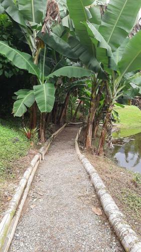 Aguas Claras Bamboo Glamping