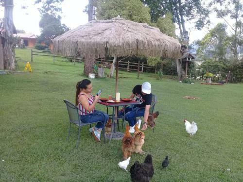 Las Orqu�deas Ecohostel