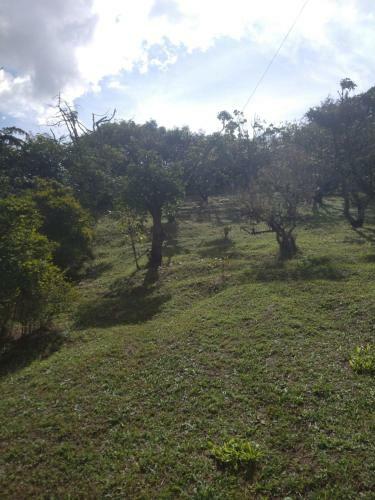 Villa La Clara Campestre - Refugio de La Mariposa Amarilla - Eurema