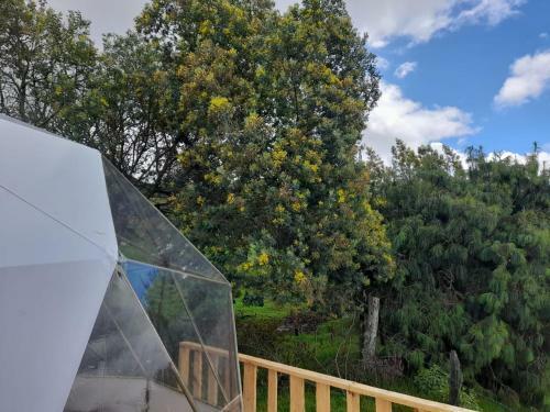 Skyline Glamping