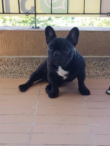 Dobby House Apartamento En Pe�alisa