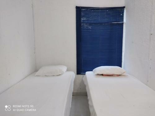 Los Delfines Chalet