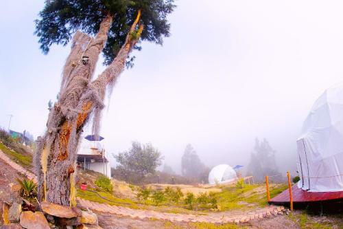 Glamping Bella Vista