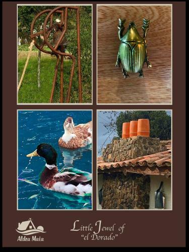 Bed & Breakfast Aldea Maia