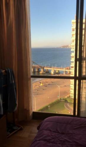Apartamento Muelle Vergara View