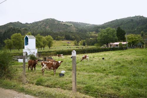 Agroturismo Posada Usamenita