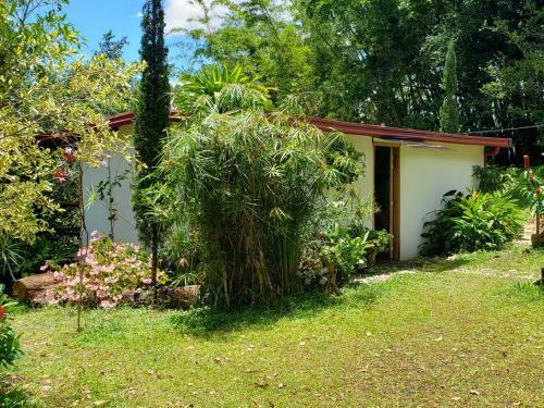 Apartamento Caba�a Manal�