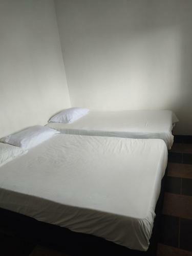Apartamento Color View