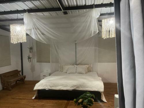 Hotel, Selva Negra