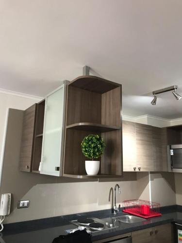 Apartamento Full Moneda 909
