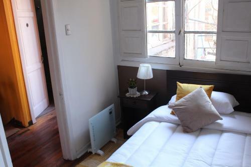 Wild Santiago Hostel