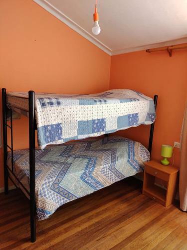 Hostal Gatos Tiernos