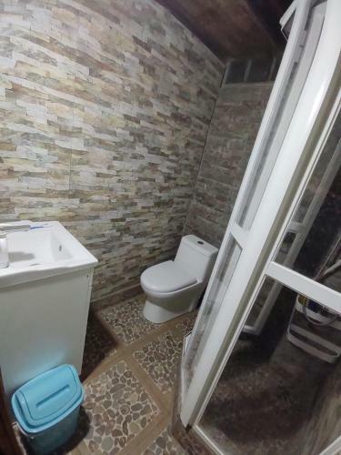 Hostal Gatos Tiernos