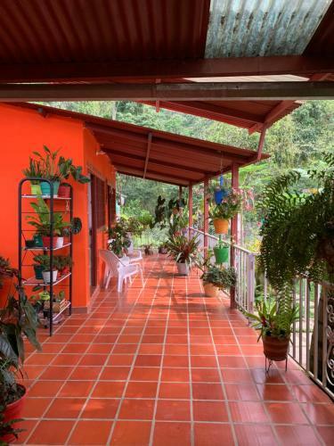 Finca Campestre En Mesitas Del Colegio