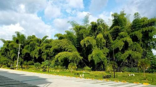 Apartamento En La Tebaida Quindio Eje Cafetero