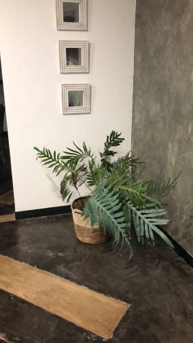 Hotel Finca Brasilia