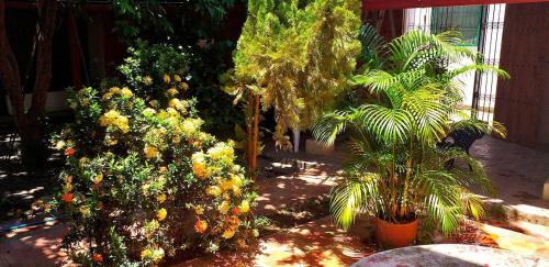 Hostal Casa Serrano - Callej�n de Don Blas Hab. Ca�aguate