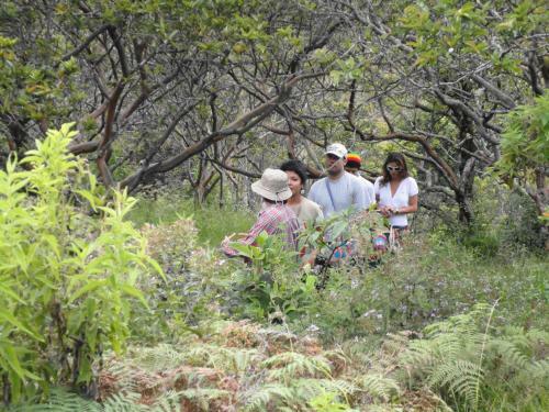 Agroturismo Posada Del Camino Real