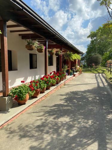 Agroturismo Posada Del Camino Real