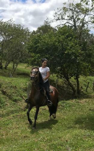 Agroturismo Posada Del Camino Real