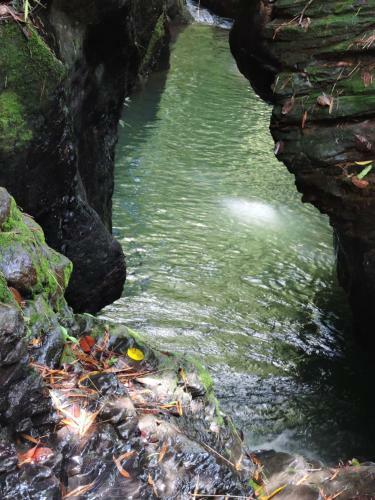 Lodge Altozano Caba�as Nimaima