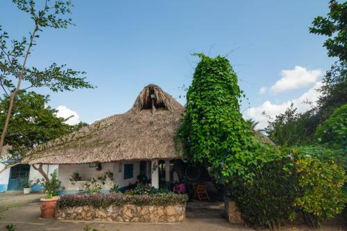 Casa Finca La Catalina