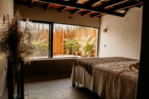 Saccharum, Villas de Lujo