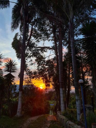Glamping Portal Del Bosque