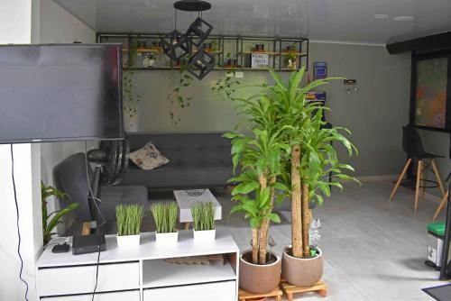 Apartamento Loft Privado Con Terraza Y Jacuzzi