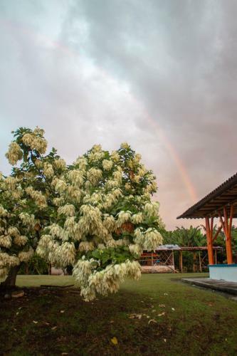 Hotel M�shoteles Finca La Dorada