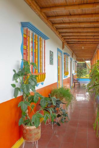 Hotel M�shoteles Finca La Dorada