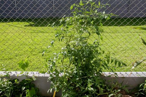 Albergue Marlua Quartos & Su�tes