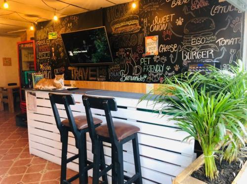 Hostal Egos Pop Alojamiento