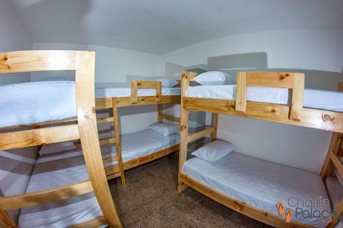 Hostal Charlie Palace Hostel