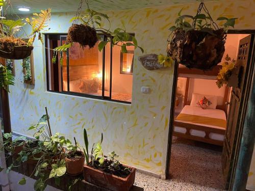 Hostal The Garden Lleras