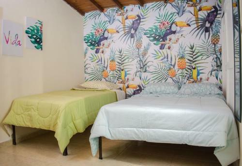 Hostal Pura Vida La 70