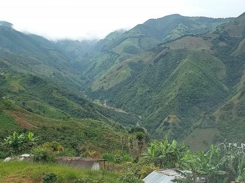 Finca Natural