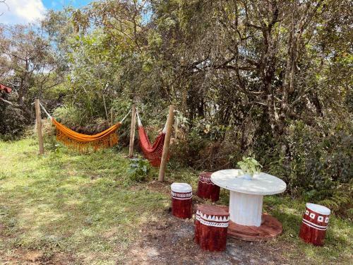 Bruma Blanca Chalets