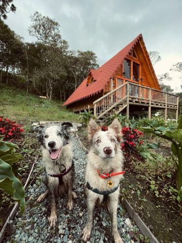 Bruma Blanca Chalets