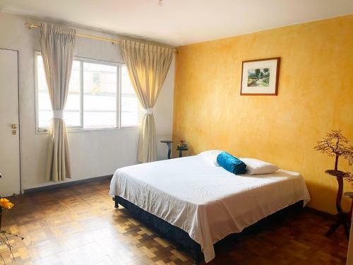 Amplio Apartamento En El Coraz�n de La Ciudad