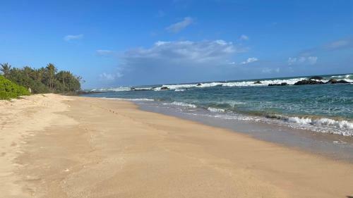 Hostal Summer Dream
