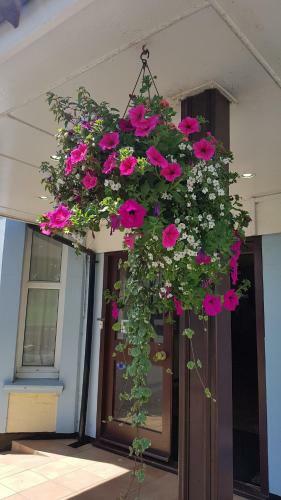 Burlington Hotel